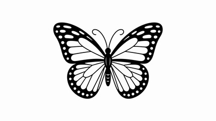 A delicate black and white illustration of a butterfly with detailed wings © MdSafi