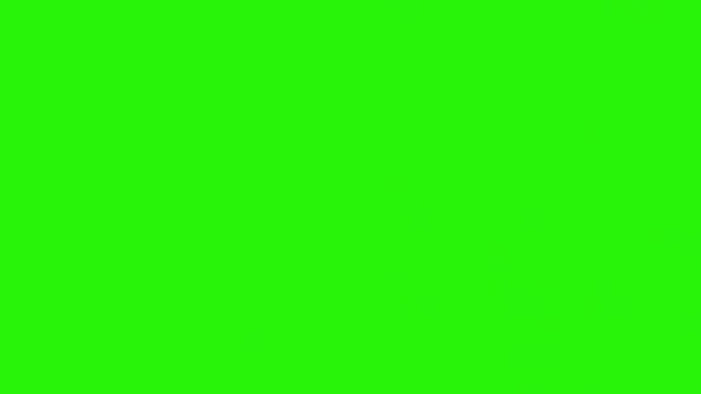 Grissini stick bread food realistic animation on green screen, traditional italian bred specific