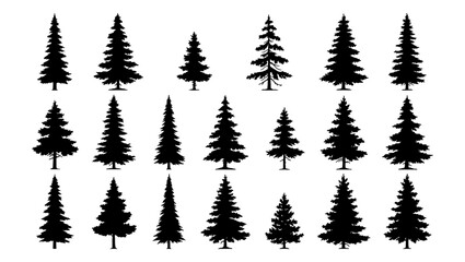 Fototapeta premium Pine tree silhouettes collection, set of 21 evergreen forest tree vectors, black conifer and spruce shapes for outdoor landscape design