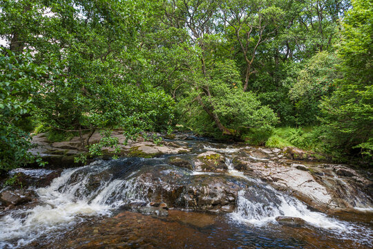 Aira Beck, a beautiful stream above High Force, Matterdale, Lake District, Cumbria, UK