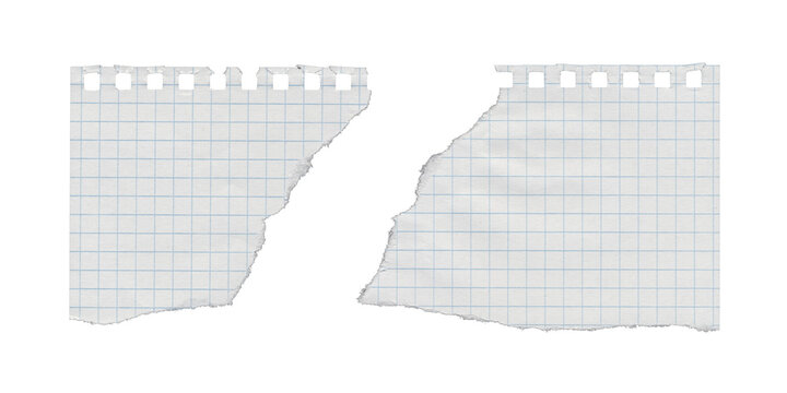 Split perforated graph notebook paper sheet with dramatic torn gap on transparent background