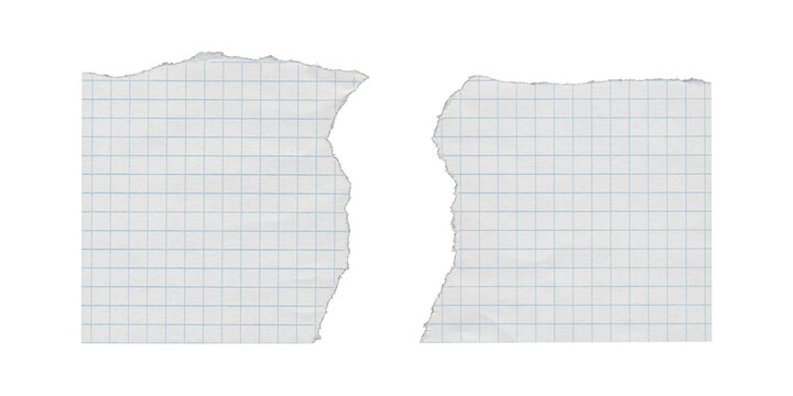 Two torn graph paper pieces with central rip separation on transparent background