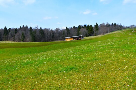 Green meadow in spring with a hayrack in Gorenjska Slovenia