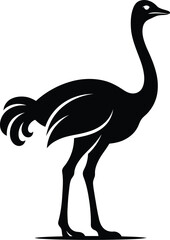Fototapeta premium Black silhouette illustration of an ostrich standing alone