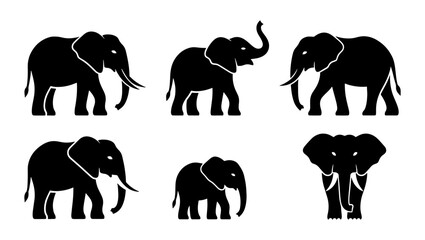 Obraz premium Elephant silhouette collection, set of 6 black vector animal icons, African elephant wildlife illustrations for logo design and nature branding