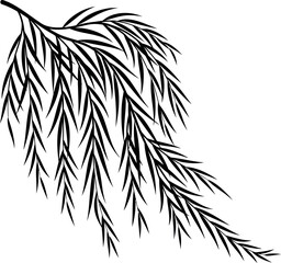 Silhouette of a single willow tree branch with long hanging leaves © graphixarrow