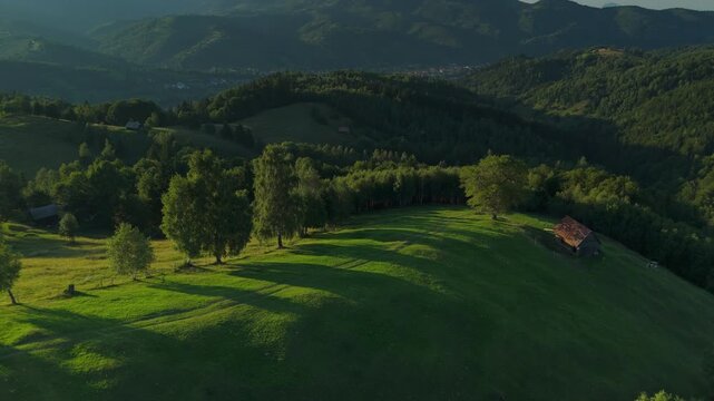 Striking aerial long take reveals golden hour Bran hills meadows with traditional barns and grazing cows, Moieciu village panorama, ascending backward reveal shot