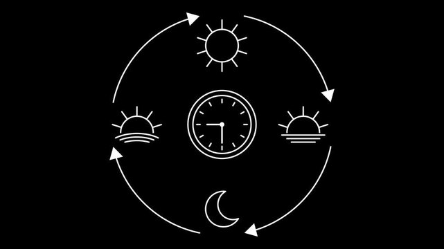 Circadian rhythm cycle animation with sun sunrise sunset moon and clock icons connected by arrows, daily time loop concept for schedule planning lifestyle balance and biological rhythm alpha channel
