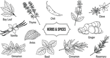 Fototapeta premium Herbs and Spices Line Art Collection Vector Illustration Set Icons