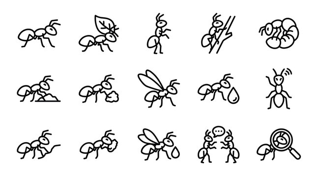 Ants vector line icons set showing various insect activities and poses, perfect for nature, pest control, or scientific design projects.