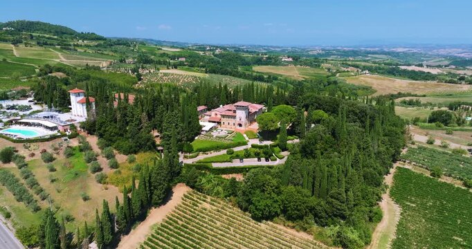 Cinematic drone perspective vineyards olive groves Italy. Panoramic agricultural landscape green hills summer. Organic farming viticulture travel agency commercial background.