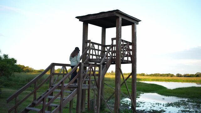 Female ornithologist climbing a birdwatching tower at sunset