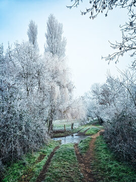 Chemin rural menant &agrave; un cours d'eau sous le givre hivernal