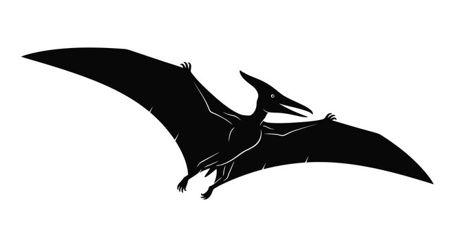 A striking black silhouette depicts a pterodactyl in flight showcasing its large wingspan and prehistoric form silhouette high quality professional detailed