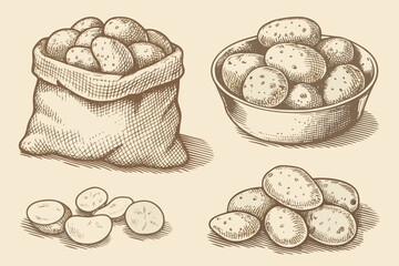 Vintage illustration of potatoes in a bag bowl and loose arrangement © Buddiswar