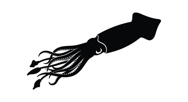 A striking black silhouette depicts a cephalopod with flowing tentacles and a prominent mantle silhouette high quality professional detailed modern elegant