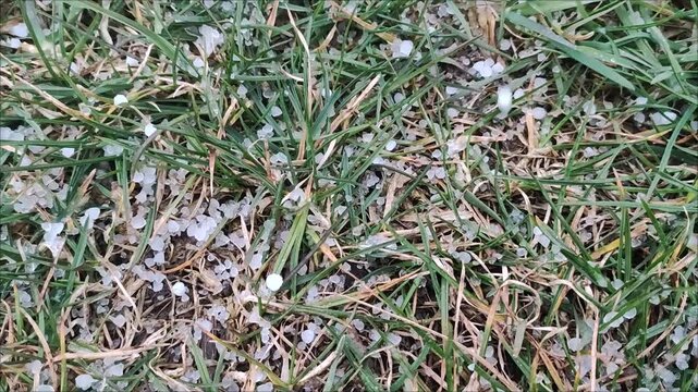 Graupelschauer im Fr&uuml;hling 