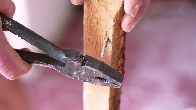 Close up static shot of rusty pliers cutting a nail embedded in rough wooden board with slight hand movement and falling splinters. Repair work and manual carpentry process