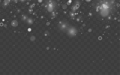 White stardust sparkles drift gently across the background. Tiny luminous particles shimmer softly. Perfect for festive, winter, and magical designs. © goldstock