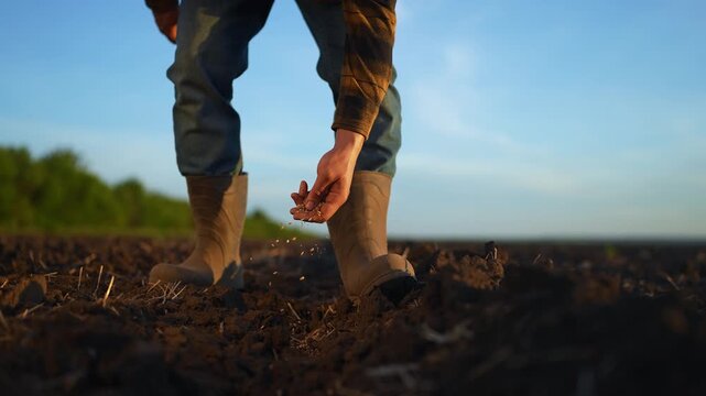 Farmer planting seeds. farmer hand sowing soybean seeds field. Sustainable soybean agriculture by dedicated farmer. Farmer expertise in soybean farming. Agriculture practices for soybean cultivation.