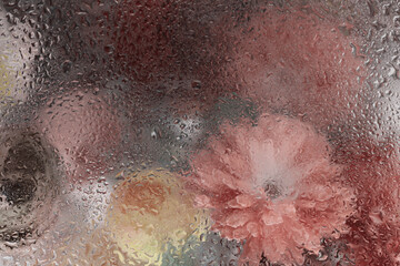 Fototapeta premium Smoke soft focus Flower, leaf through glass with wet water Drops. Abstract flow natural blur background.