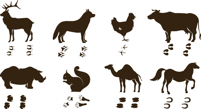 Collection of eight different animal silhouettes and corresponding track footprints illustrations set