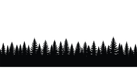 Dense forest of evergreen trees against a white background silhouette © MD