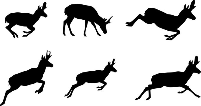 Pronghorn Antelope Silhouette Collection, North American Wildlife Vector Set, Running and Grazing Antelope Poses, Exotic Safari Animal Icons, Solid Black Nature Illustration Sheet