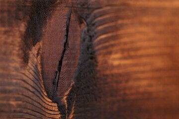 Macro shot of contrast natural knotted wood on weathered wooden plank with wavy lines. Sharp focus on abstract pattern of old timber part. Right side is blurred. Rustic background, copy space.