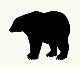 Obraz premium Vector drawing. Big polar bear