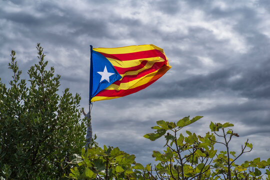 The Estelada flag in Catalonia, Spain, flies at the top amidst the vegetation