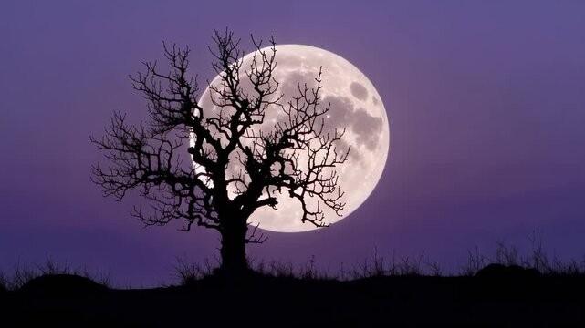 This captures a tranquil scene of a bare tree standing alone against a full moon in a serene night sky. The tree's silhouette is stark against the soft, glowing moonlight, creating a peaceful ambiance