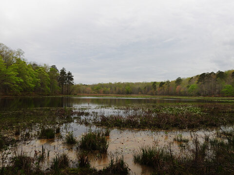 The natural beauty of Beaver Lake on a cloudy day. Spring season, Pocahontas State Park, Chesterfield County, Virginia. 