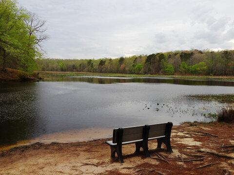 Visitors can sit and ponder over the scenic beauty of Beaver Lake, within the Pocahontas State Park, Chesterfield County, Virginia. 