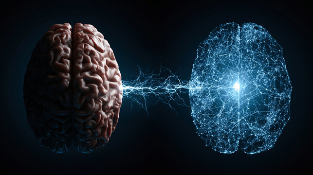Human brain linked to a glowing digital AI brain by electric energy. Futuristic concept of artificial intelligence, neuroscience, and the connection between human and machine.