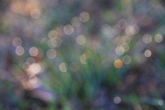 Abstract Bokeh Background in earth tones, circles of golden light in a blurred  background of greens, browns and blues