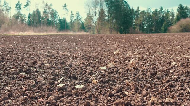 Plowed field soil with forest in background