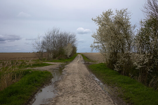 Secteur Pav&eacute; du Blocus route emprunt&eacute; par la course cycliste du paris Roubaix