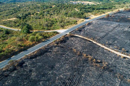 Aerial View of Burnt Field Next to Green Forest The Concept of Wildfire Aftermath