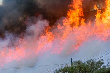 Intense wildfire flames burning through dry vegetation with thick smoke rising in a rural area © VicVaz