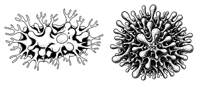 Microscopic amoebas and biological cell organisms in vintage linocut style
