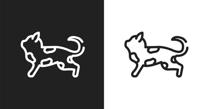 Toyger cat icon. Linear black, white icon from cat breed bodies collection. Outline toyger cat vector. Thin line symbol isolated on white and black background
