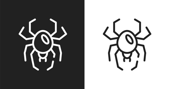Spider black widow icon. Linear black, white icon from insects collection. Outline spider black widow vector. Thin line symbol isolated on white and black background