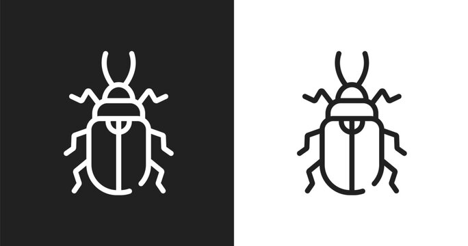 Pollen beetle icon. Linear black, white icon from insects collection. Outline pollen beetle vector. Thin line symbol isolated on white and black background