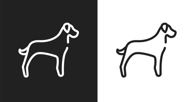 Great dane icon. Linear black, white icon from dog and training collection. Outline great dane vector. Thin line symbol isolated on white and black background