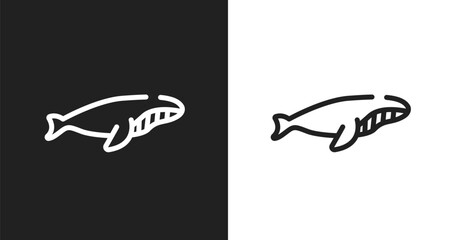 Whale swimming icon. Linear black, white icon from free animals collection. Outline whale swimming vector. Thin line symbol isolated on white and black background © VectorStockDesign
