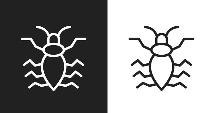 Antlion icon. Linear black, white icon from insects collection. Outline antlion vector. Thin line symbol isolated on white and black background