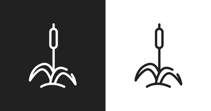 Cattail icon. Linear black, white icon from wildlife collection. Outline cattail vector. Thin line symbol isolated on white and black background