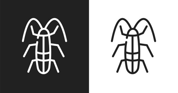 Cockroach icon. Linear black, white icon from insects collection. Outline cockroach vector. Thin line symbol isolated on white and black background