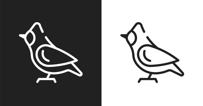 Cardinal icon. Linear black, white icon from nature collection. Outline cardinal vector. Thin line symbol isolated on white and black background